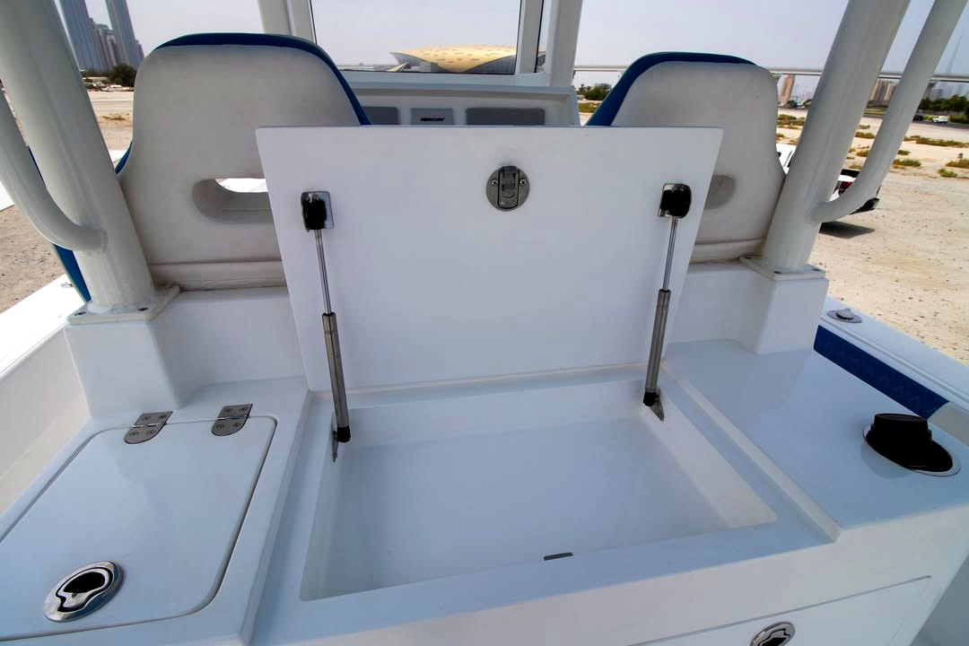 Premium boat storage hatch with stainless gas struts