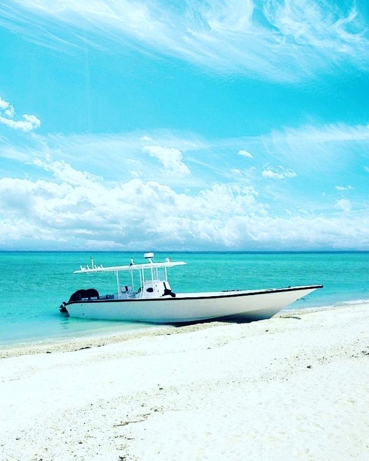 Boat on tropical shoreline